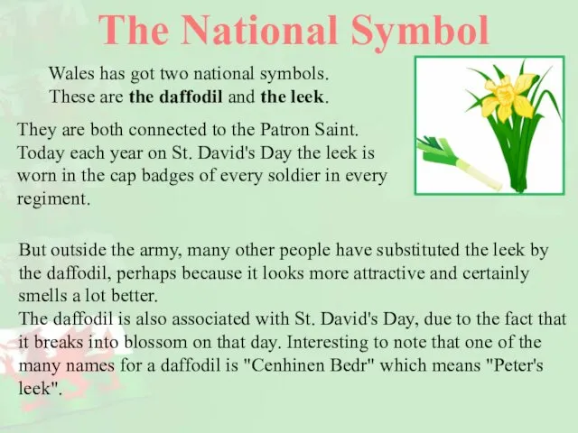 The National Symbol Wales has got two national symbols. These