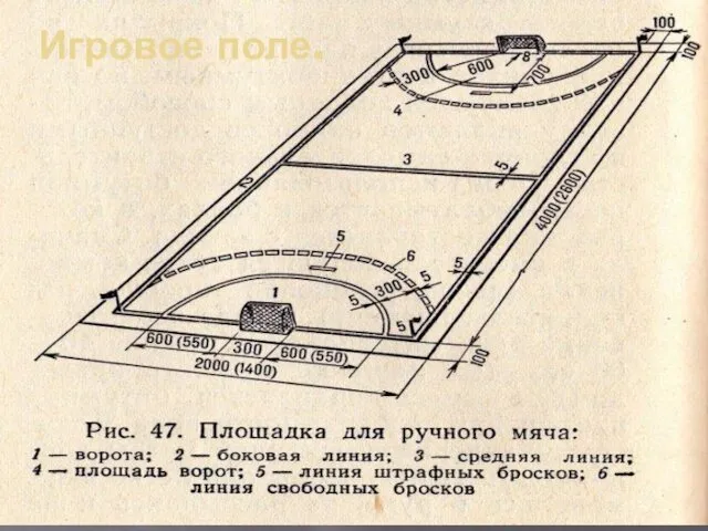 Игровое поле.