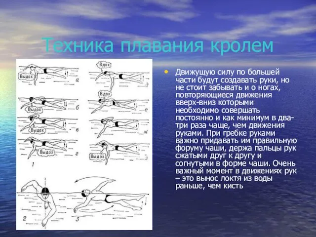 Техника плавания кролем Движущую силу по большей части будут создавать