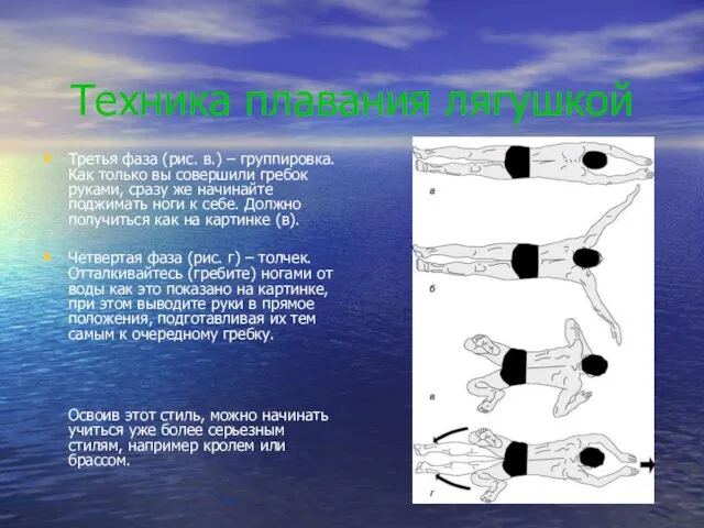 Техника плавания лягушкой Третья фаза (рис. в.) – группировка. Как
