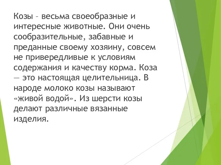 Козы – весьма своеобразные и интересные животные. Они очень сообразительные, забавные и преданные