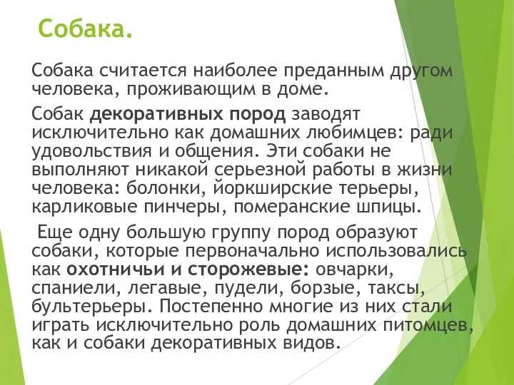 Собака. Собака считается наиболее преданным другом человека, проживающим в доме. Собак декоративных пород