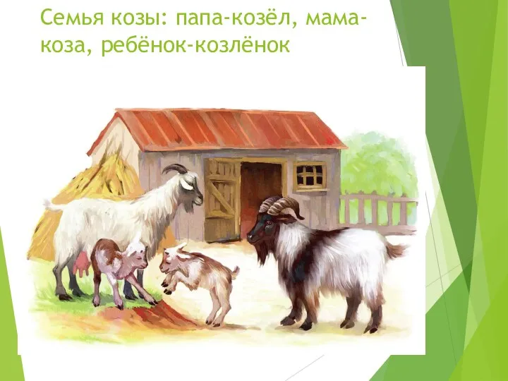 Семья козы: папа-козёл, мама-коза, ребёнок-козлёнок