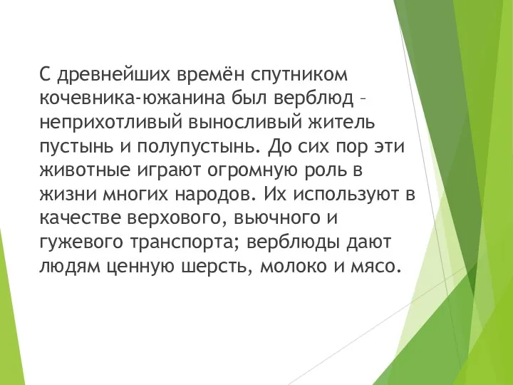 С древнейших времён спутником кочевника-южанина был верблюд – неприхотливый выносливый житель пустынь и