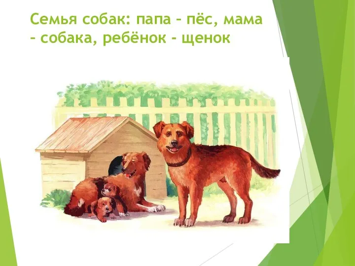 Семья собак: папа – пёс, мама – собака, ребёнок - щенок