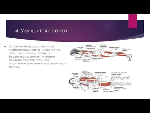 4. Улучшится осанка Усиление мышц кора оказывает глубокое воздействие на