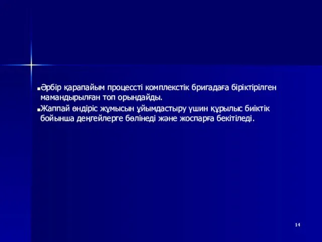 Әрбір қарапайым процессті комплекстік бригадаға біріктірілген мамандырылған топ орындайды. Жаппай