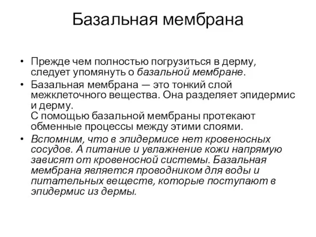 Базальная мембрана Прежде чем полностью погрузиться в дерму, следует упомянуть