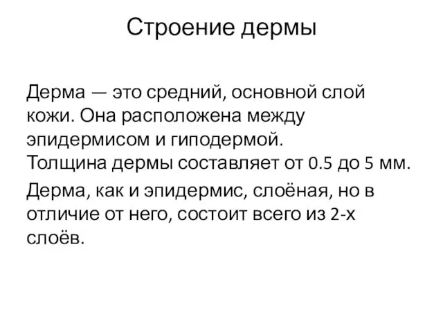 Строение дермы Дерма — это средний, основной слой кожи. Она