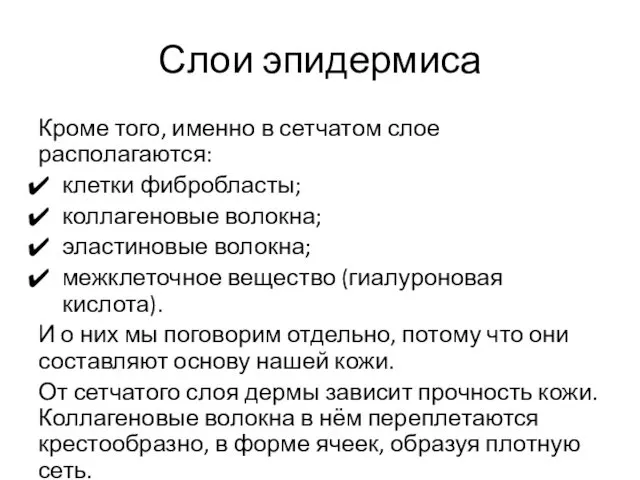 Слои эпидермиса Кроме того, именно в сетчатом слое располагаются: клетки