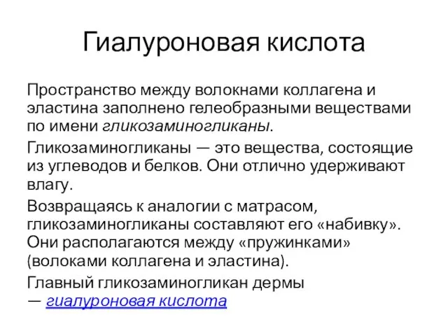 Гиалуроновая кислота Пространство между волокнами коллагена и эластина заполнено гелеобразными