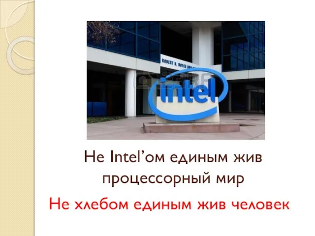 Не Intel’ом единым жив процессорный мир Не хлебом единым жив человек