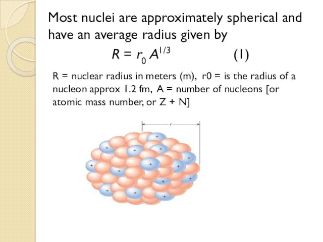 Most nuclei are approximately spherical and have an average radius