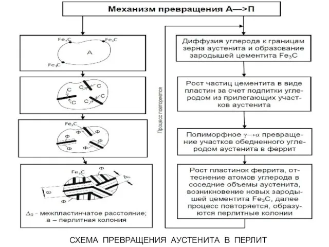 СХЕМА ПРЕВРАЩЕНИЯ АУСТЕНИТА В ПЕРЛИТ