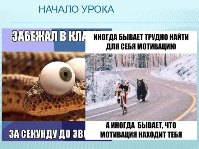 НАЧАЛО УРОКА