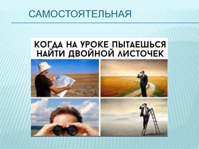 САМОСТОЯТЕЛЬНАЯ