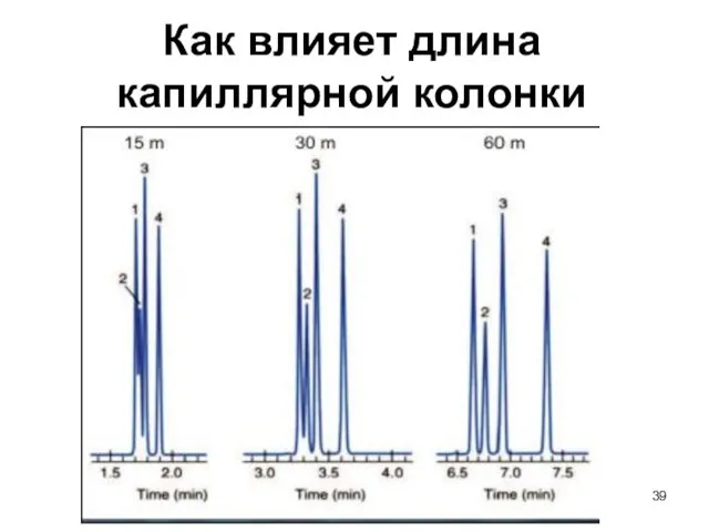 Как влияет длина капиллярной колонки