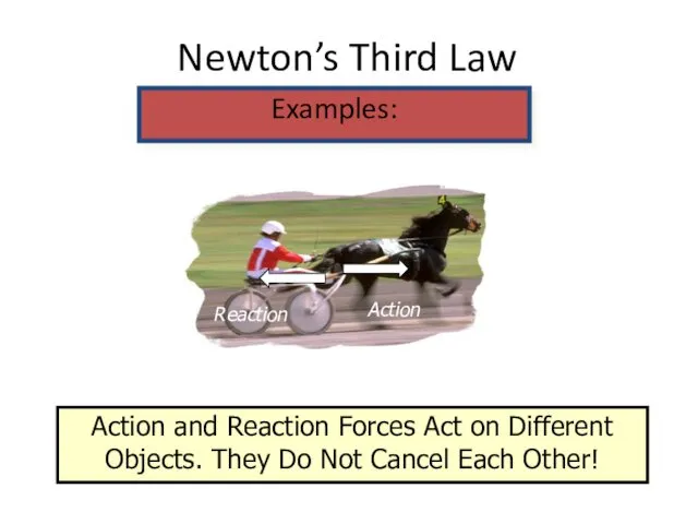 Newton’s Third Law Examples: Action and Reaction Forces Act on