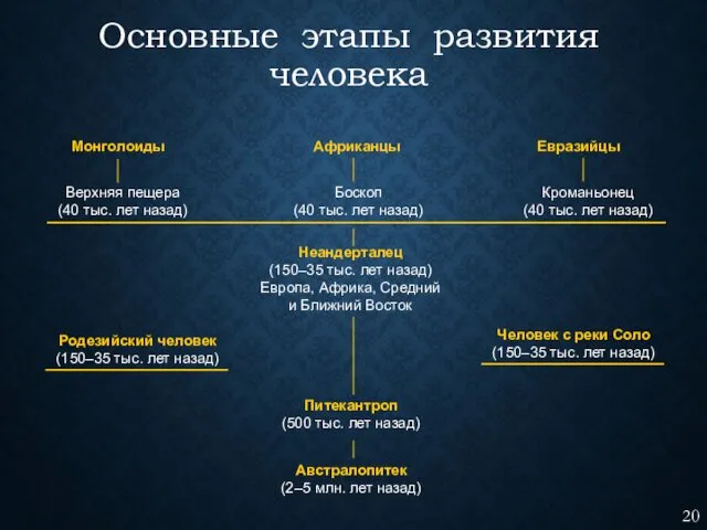 Основные этапы развития человека Монголоиды Африканцы Евразийцы Верхняя пещера (40