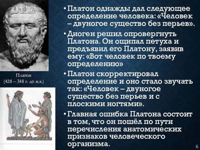 Платон однажды дал следующее определение человека: «Человек – двуногое существо