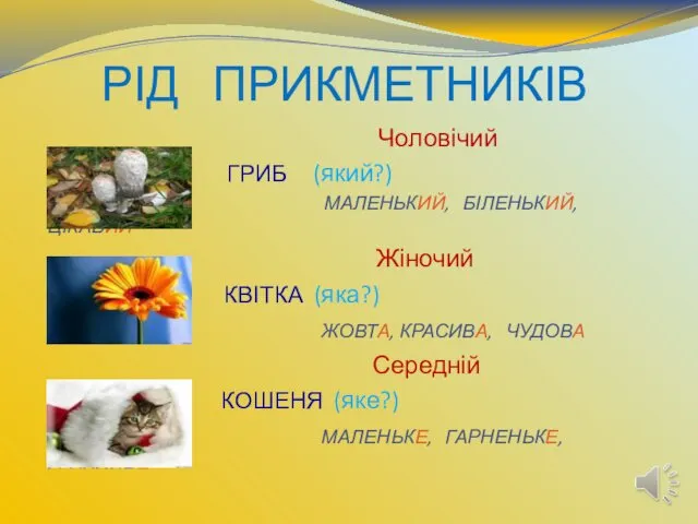 РІД ПРИКМЕТНИКІВ Чоловічий ГРИБ (який?) МАЛЕНЬКИЙ, БІЛЕНЬКИЙ, ЦІКАВИЙ Жіночий КВІТКА (яка?) ЖОВТА, КРАСИВА,