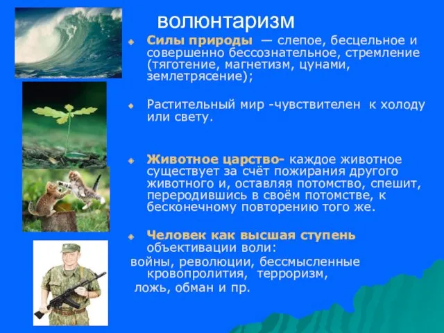 волюнтаризм Силы природы — слепое, бесцельное и совершенно бессознательное, стремление