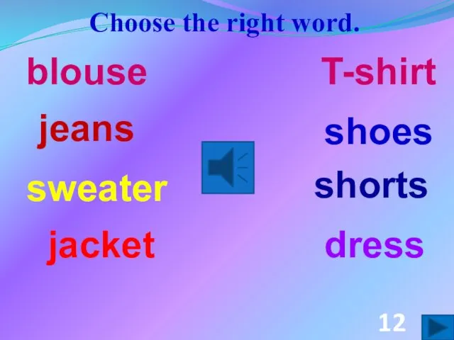 Choose the right word. dress shoes shorts jacket jeans blouse T-shirt sweater 12