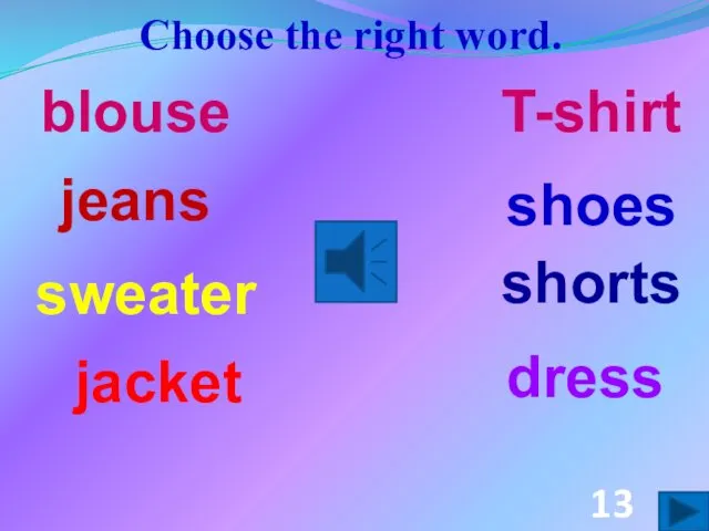 Choose the right word. dress shoes shorts jacket jeans blouse T-shirt sweater 13