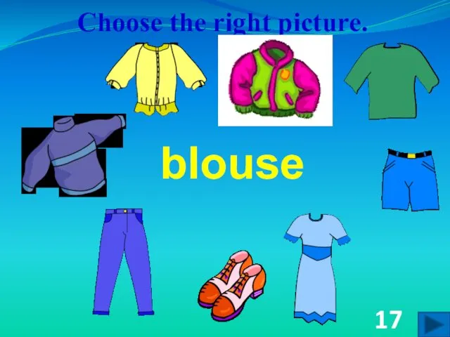 Choose the right picture. blouse 17