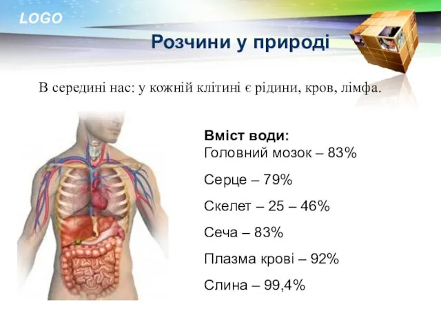 Розчини у природі В середині нас: у кожній клітині є