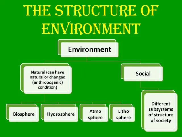 The structure of environment