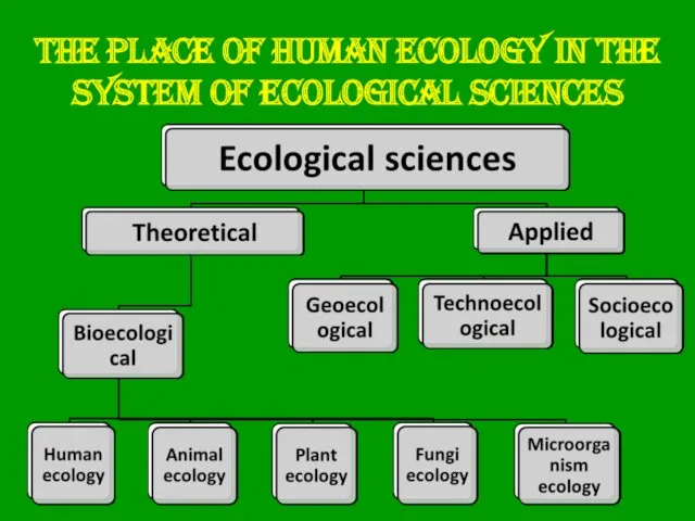 The place of human ecology in the system of ecological sciences