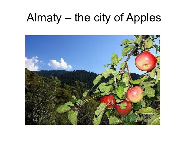 Almaty – the city of Apples