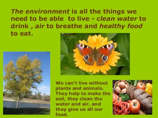 The environment is all the things we need to be able to live