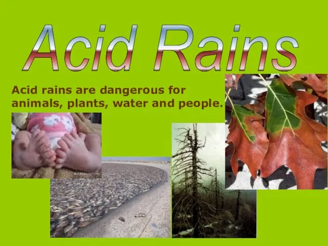 Acid Rains Acid rains are dangerous for animals, plants, water and people.