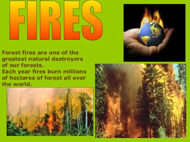 FIRES Forest fires are one of the greatest natural destroyers of our forests.