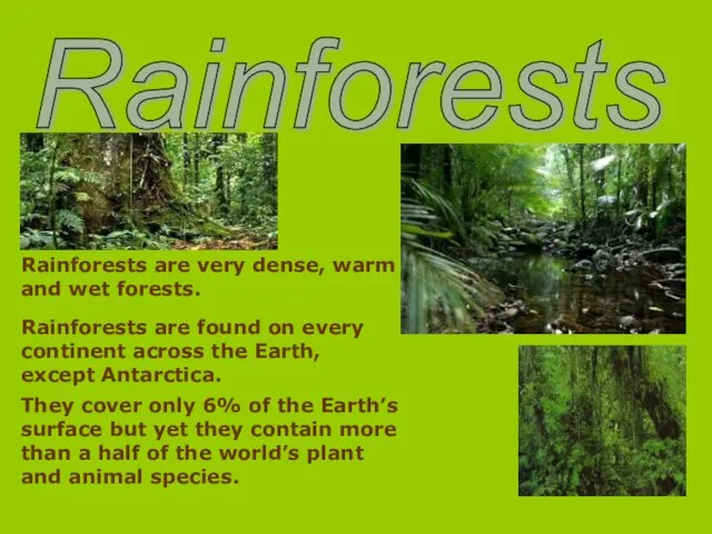 Rainforests Rainforests are very dense, warm and wet forests. Rainforests are found on