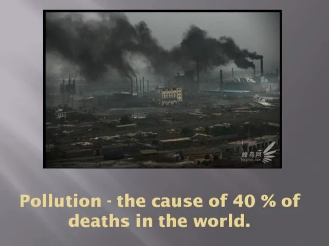 Pollution - the cause of 40 % of deaths in the world.