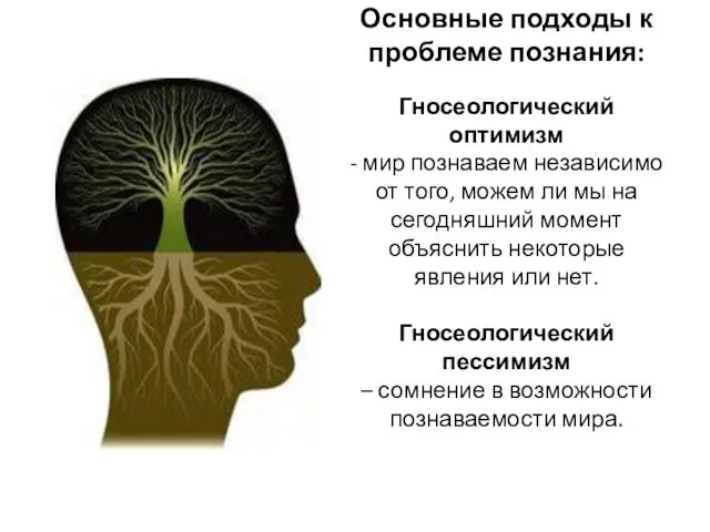 Основные подходы к проблеме познания: Гносеологический оптимизм - мир познаваем