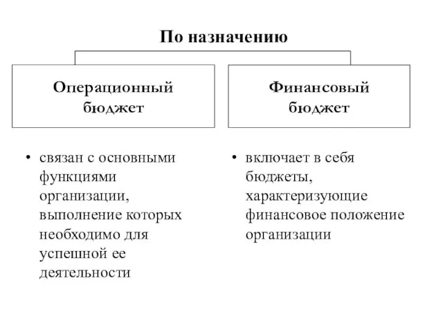 По назначению связан с основными функциями организации, выполнение которых необходимо