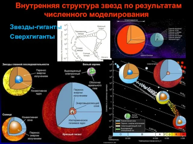 Внутренняя структура звезд по результатам численного моделирования Звезды-гиганты Сверхгиганты