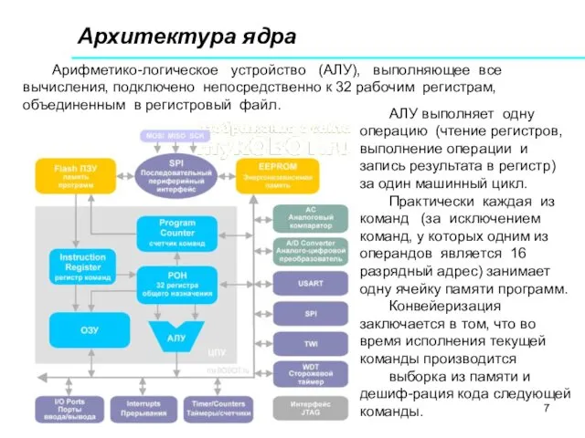 Архитектура ядра Арифметико-логическое устройство (АЛУ), выполняющее все вычисления, подключено непосредственно