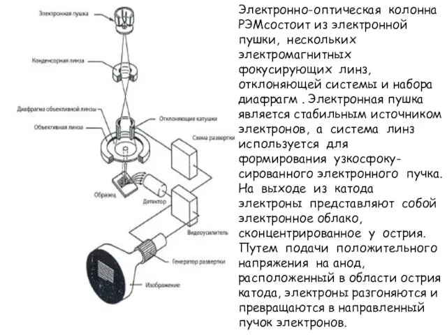 Электронно-оптическая колонна РЭМсостоит из электронной пушки, нескольких электромагнитных фокусирующих линз, отклоняющей системы и