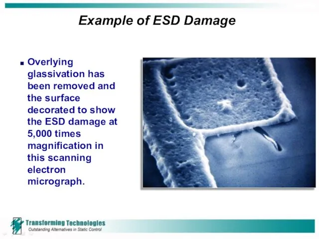 Example of ESD Damage Overlying glassivation has been removed and