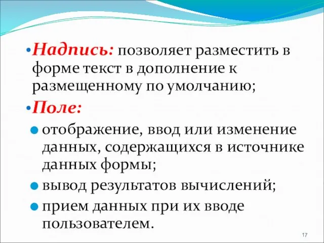 Надпись: позволяет разместить в форме текст в дополнение к размещенному