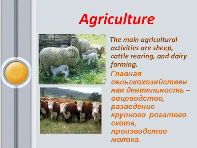 Agriculture The main agricultural activities are sheep, cattle rearing, and