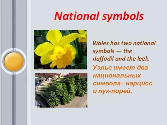National symbols Wales has two national symbols — the daffodil