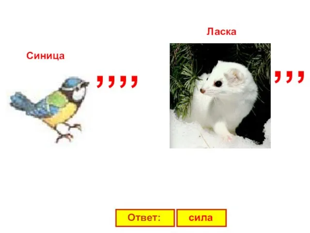 ,,,, ,,, Синица Ласка Ответ: сила