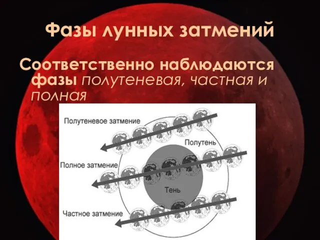 Фазы лунных затмений Соответственно наблюдаются фазы полутеневая, частная и полная