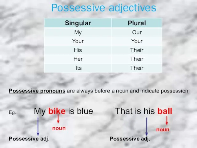 Possessive adjectives Possessive pronouns are always before a noun and